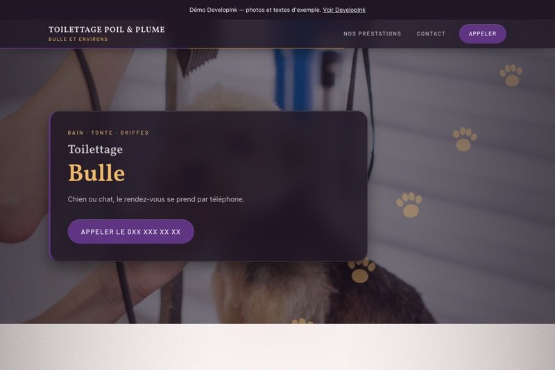 Aperçu du site d'exemple — Toilettage
