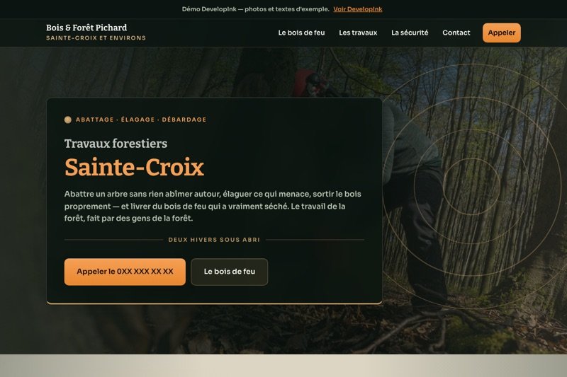 Aperçu du site d'exemple — Forestier · bois de feu