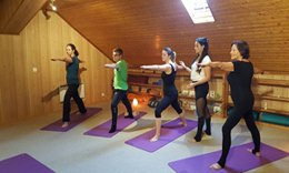 Cinq personnes debout en posture du guerrier, bras tendus, sur des tapis violets